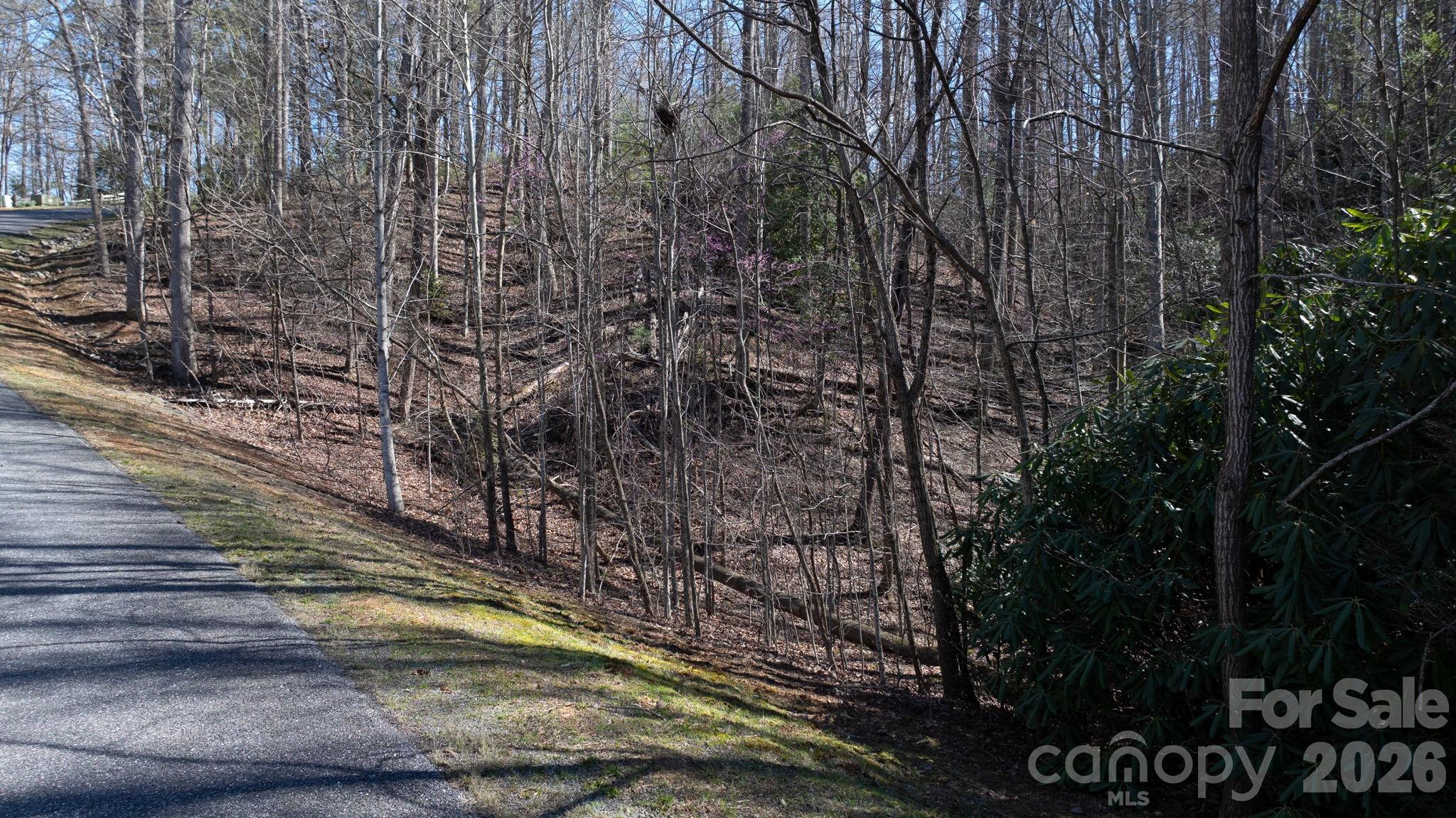1342 High Trail Drive Nebo NC 28761