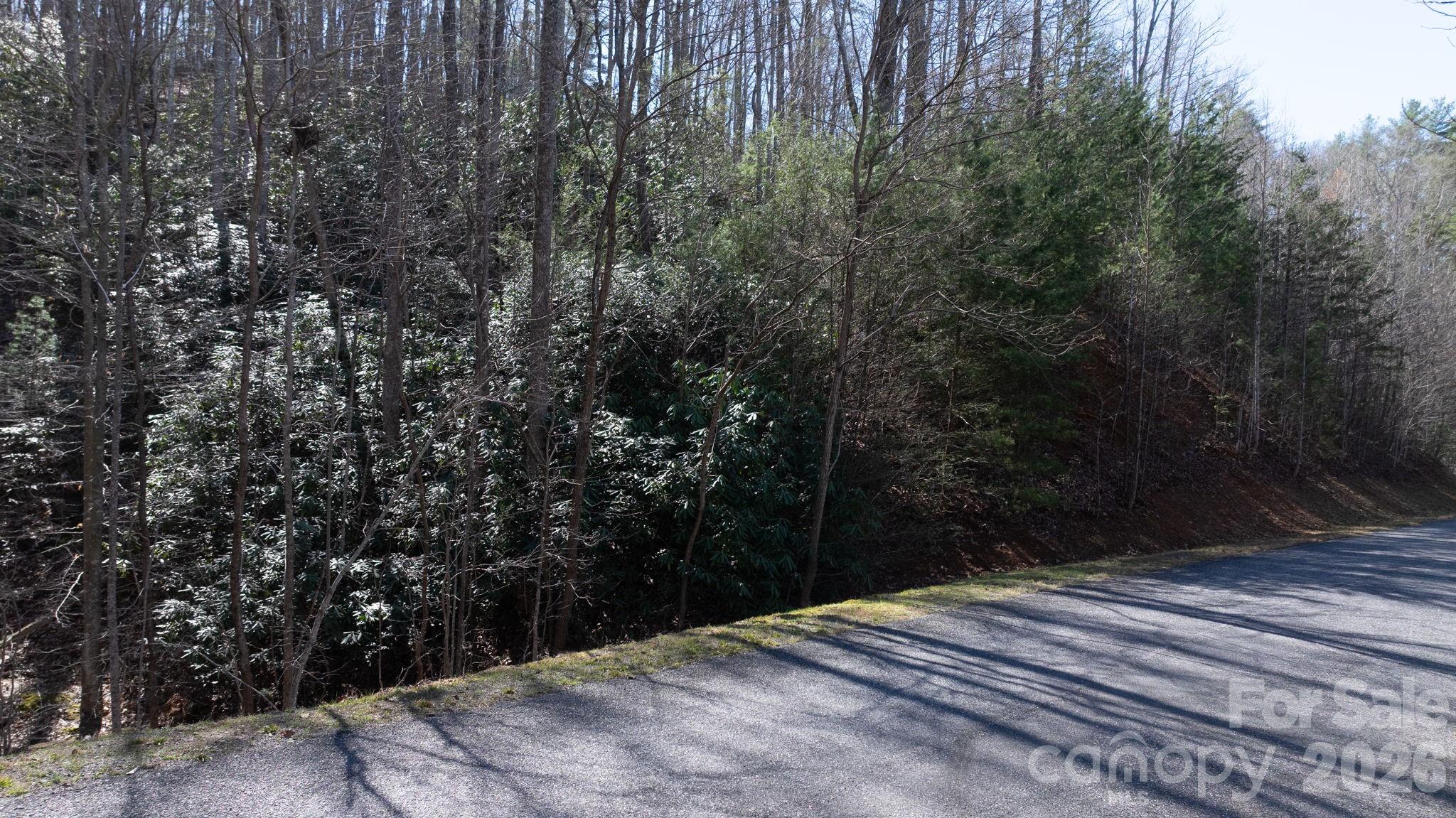 1342 High Trail Drive Nebo NC 28761