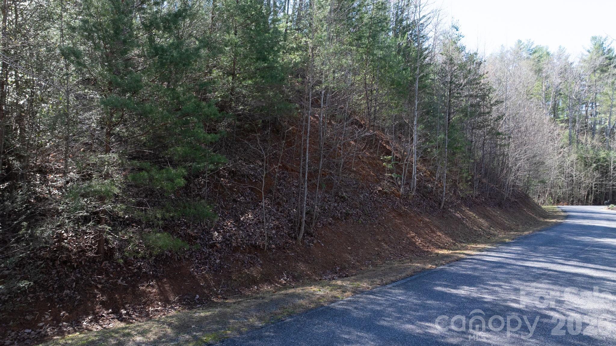 1342 High Trail Drive Nebo NC 28761