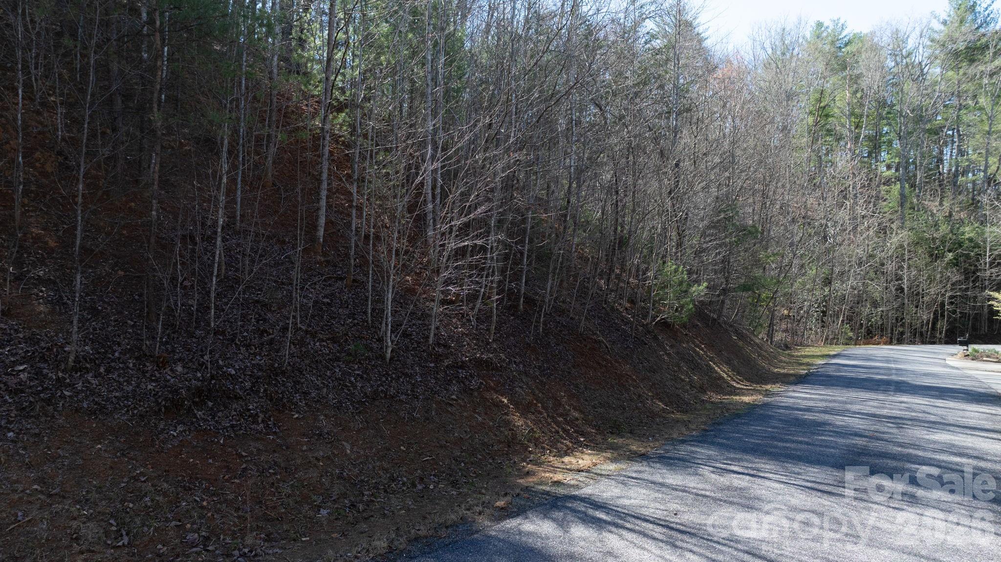 1342 High Trail Drive Nebo NC 28761