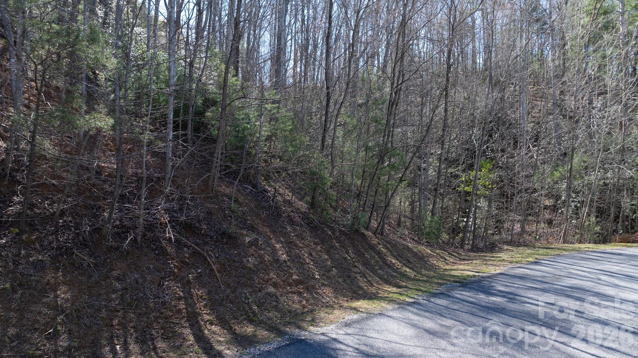 1342 High Trail Drive Nebo NC 28761