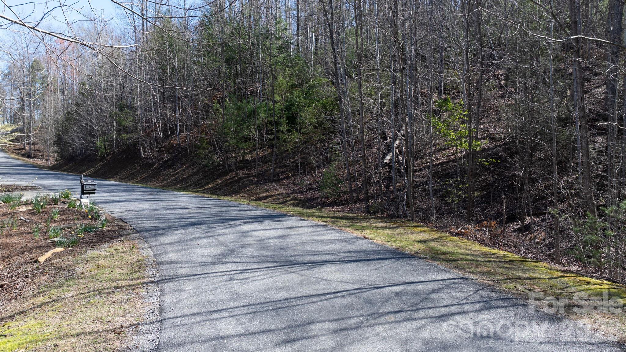 1342 High Trail Drive Nebo NC 28761