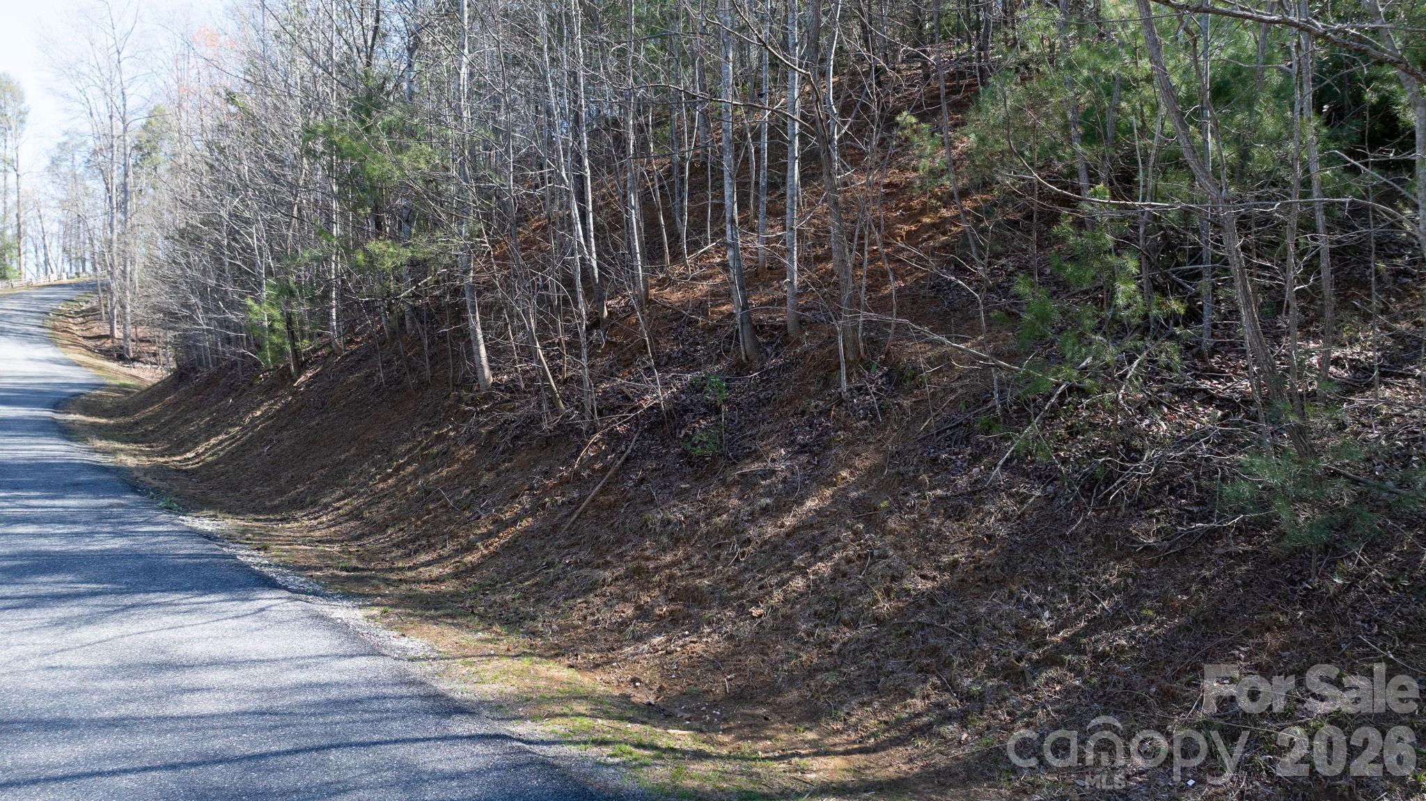 1342 High Trail Drive Nebo NC 28761