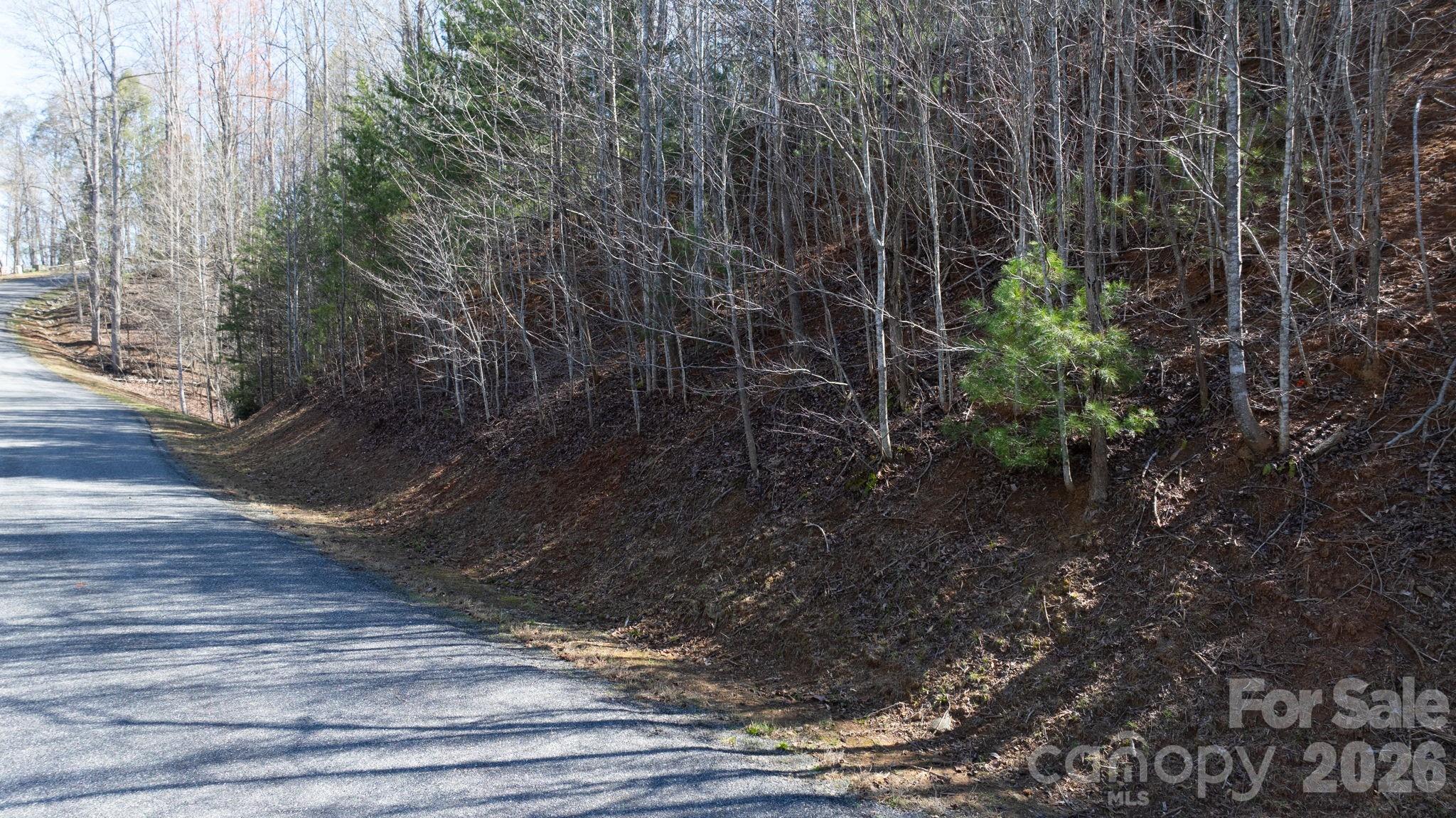 1342 High Trail Drive Nebo NC 28761