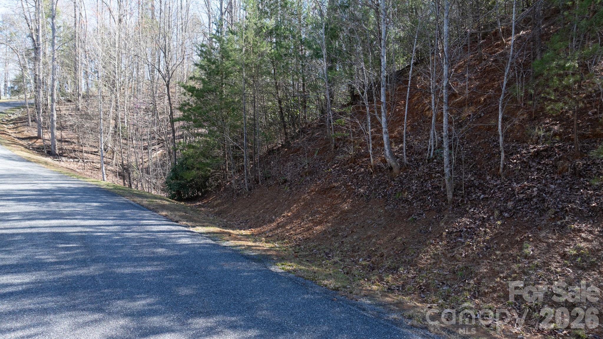 1342 High Trail Drive Nebo NC 28761