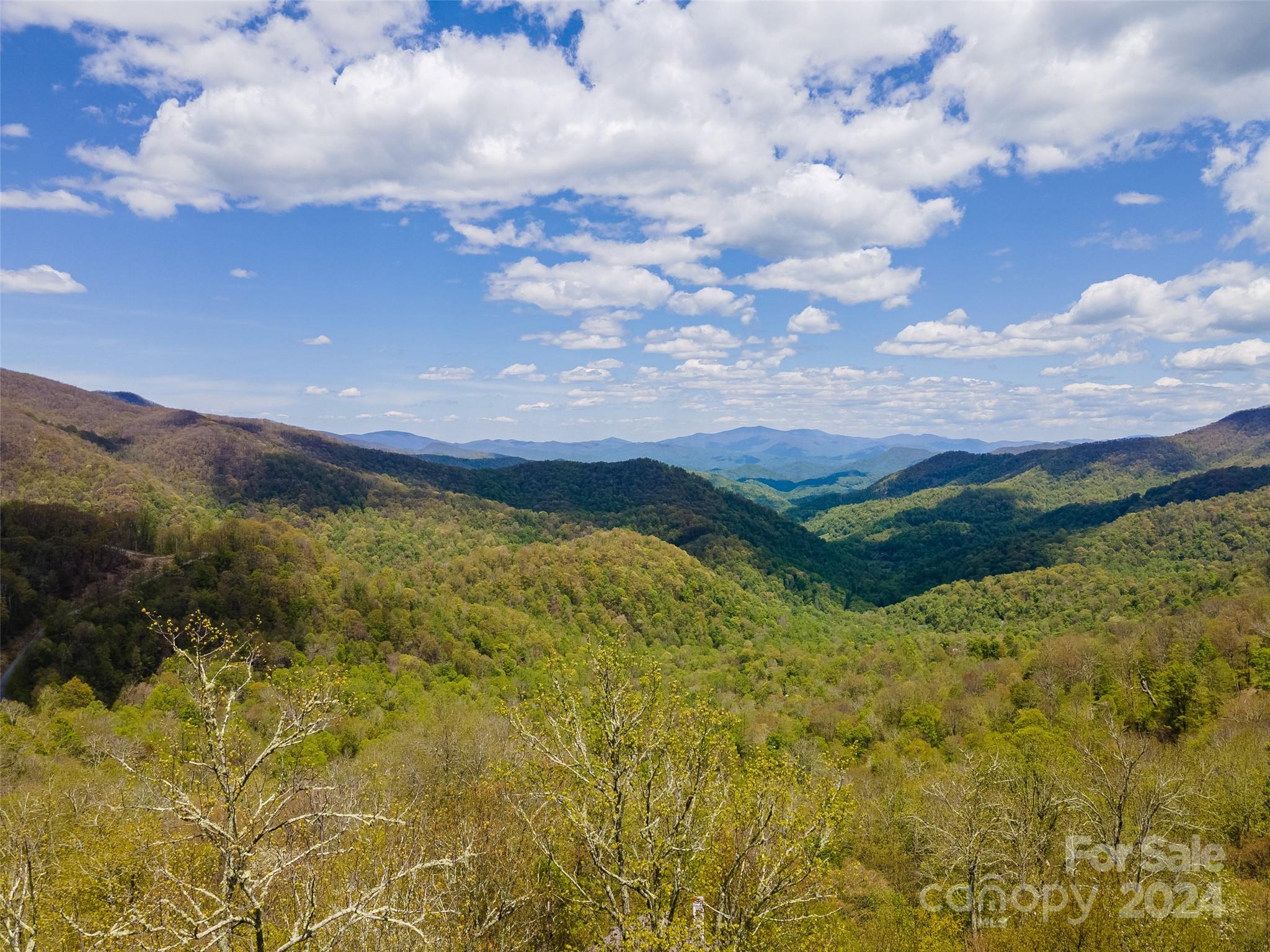 93 Goldenleaf Road Mars Hill NC 28754