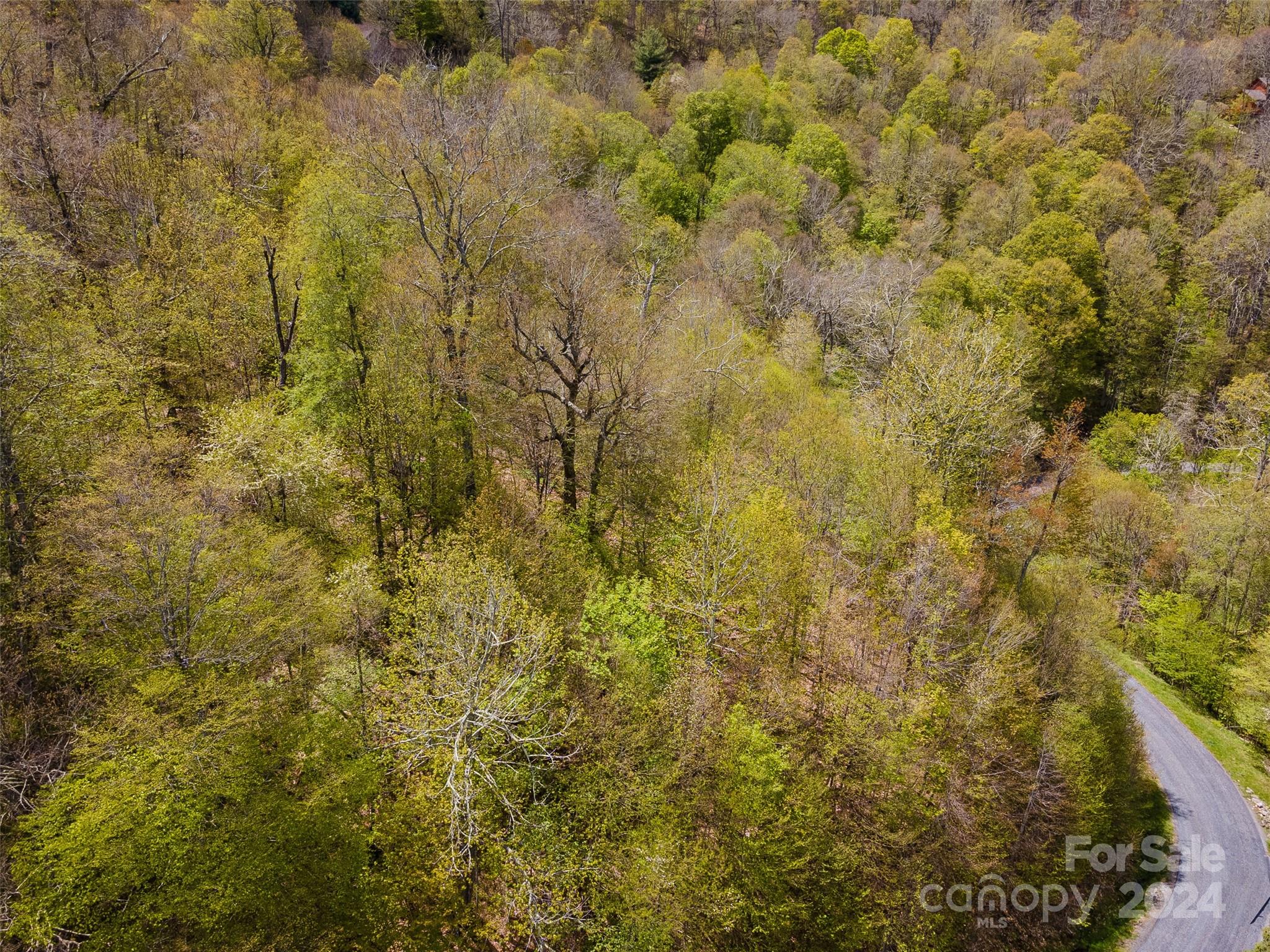 93 Goldenleaf Road Mars Hill NC 28754