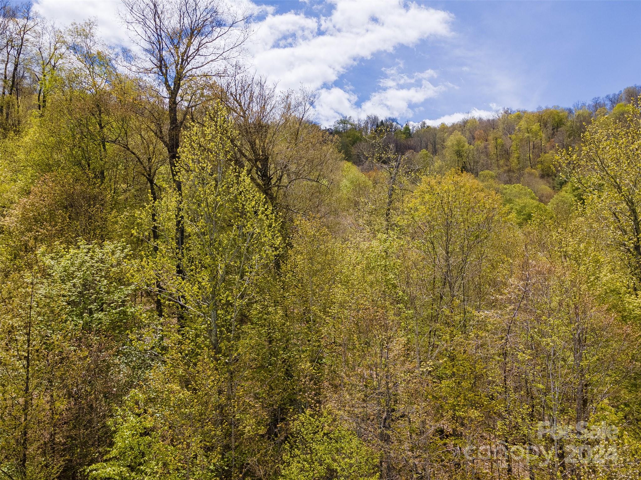 93 Goldenleaf Road Mars Hill NC 28754
