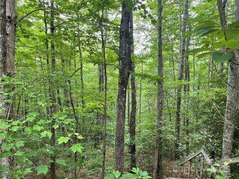 Lt 279 Cabin Flats Road Balsam NC 28707
