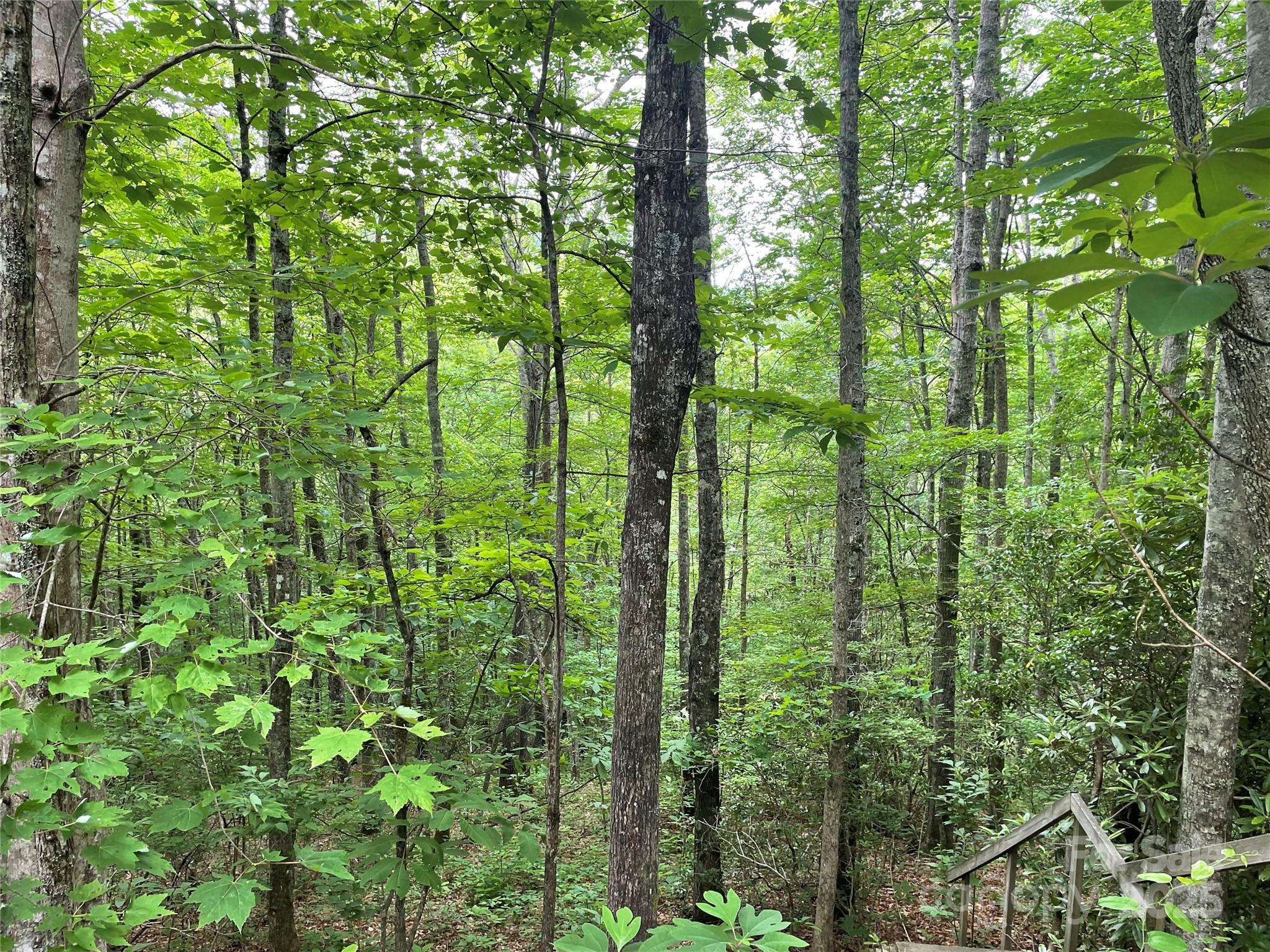 Lt 279 Cabin Flats Road Balsam NC 28707