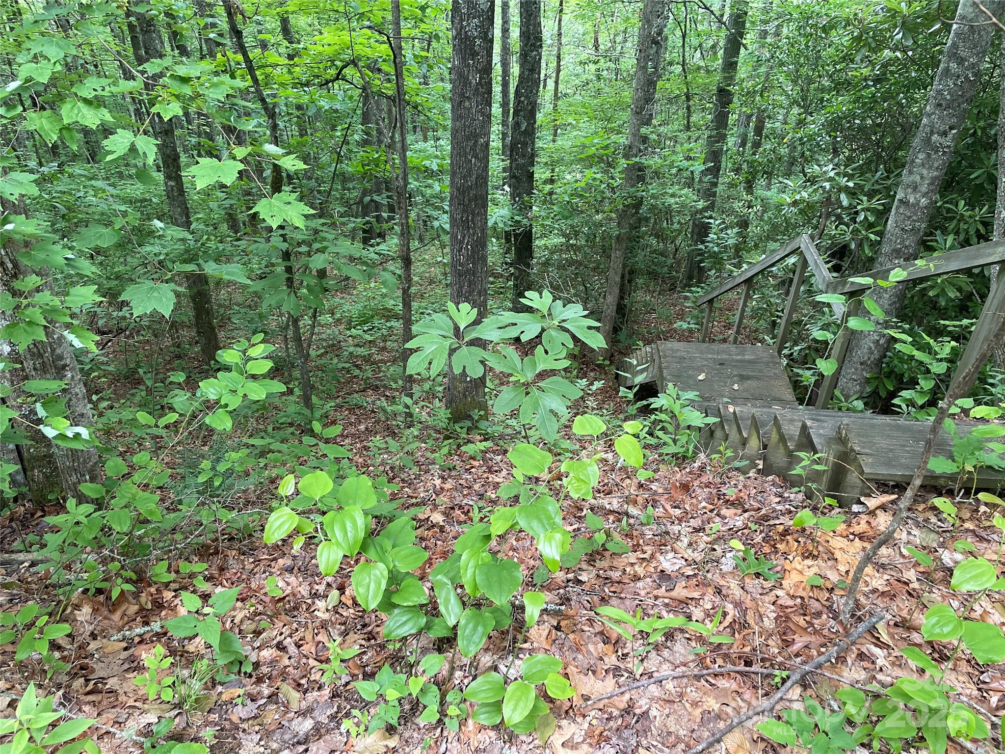 Lt 279 Cabin Flats Road Balsam NC 28707