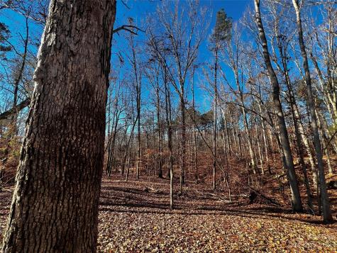 146 Copper Pine Lane Davidson NC 28036