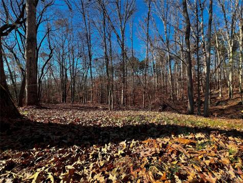 146 Copper Pine Lane Davidson NC 28036