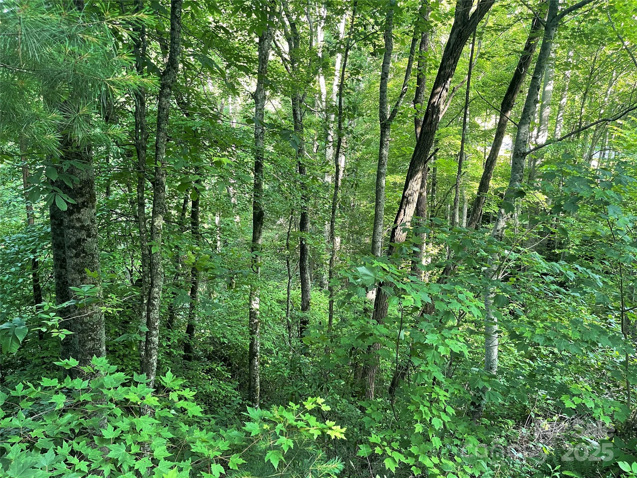 2600 Canada Road Tuckasegee NC 28783