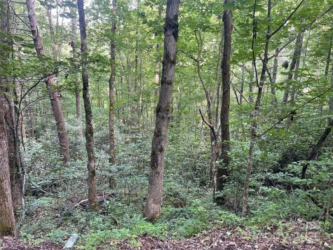 2600 Canada Road Tuckasegee NC 28783