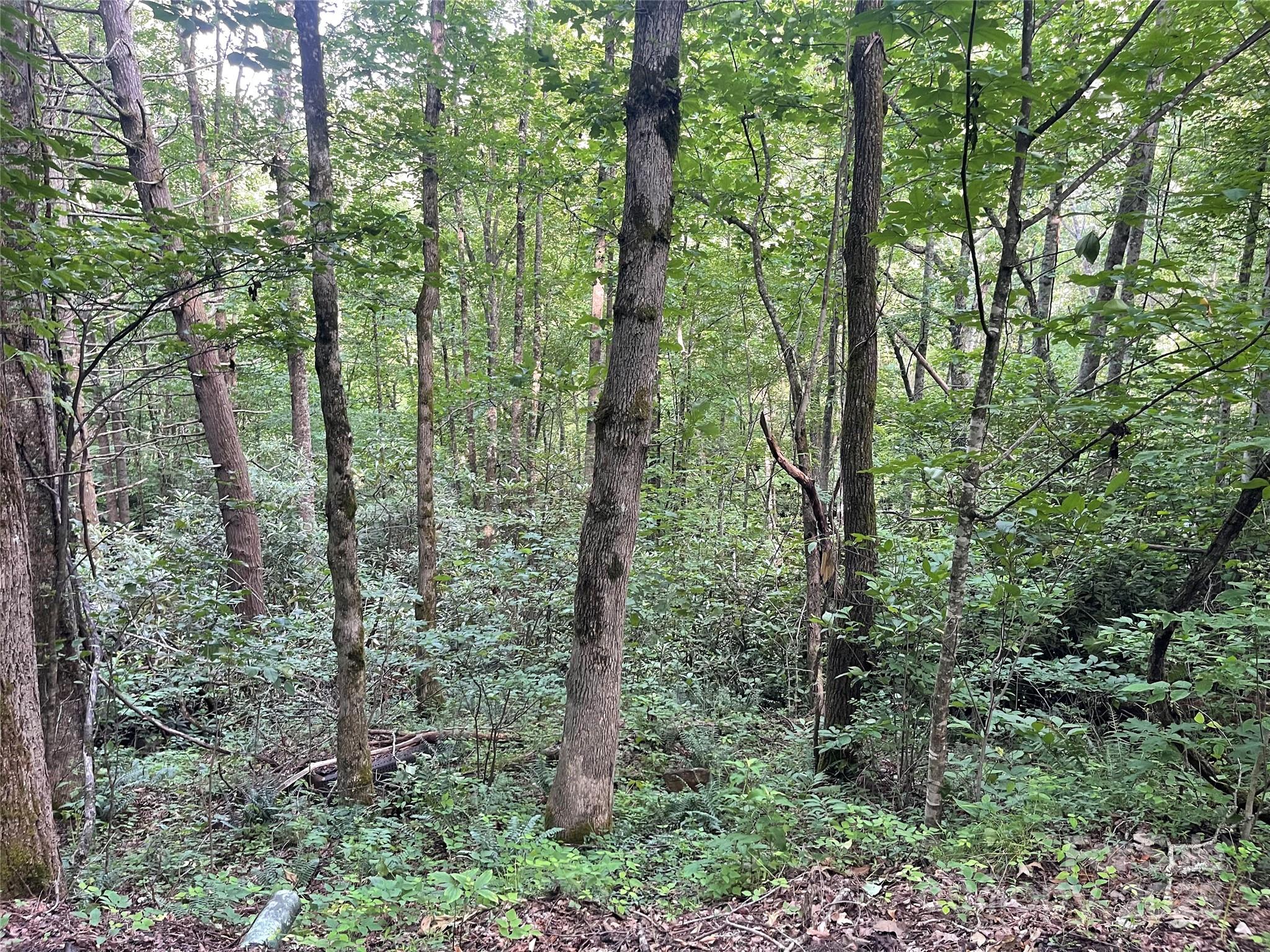 2600 Canada Road Tuckasegee NC 28783