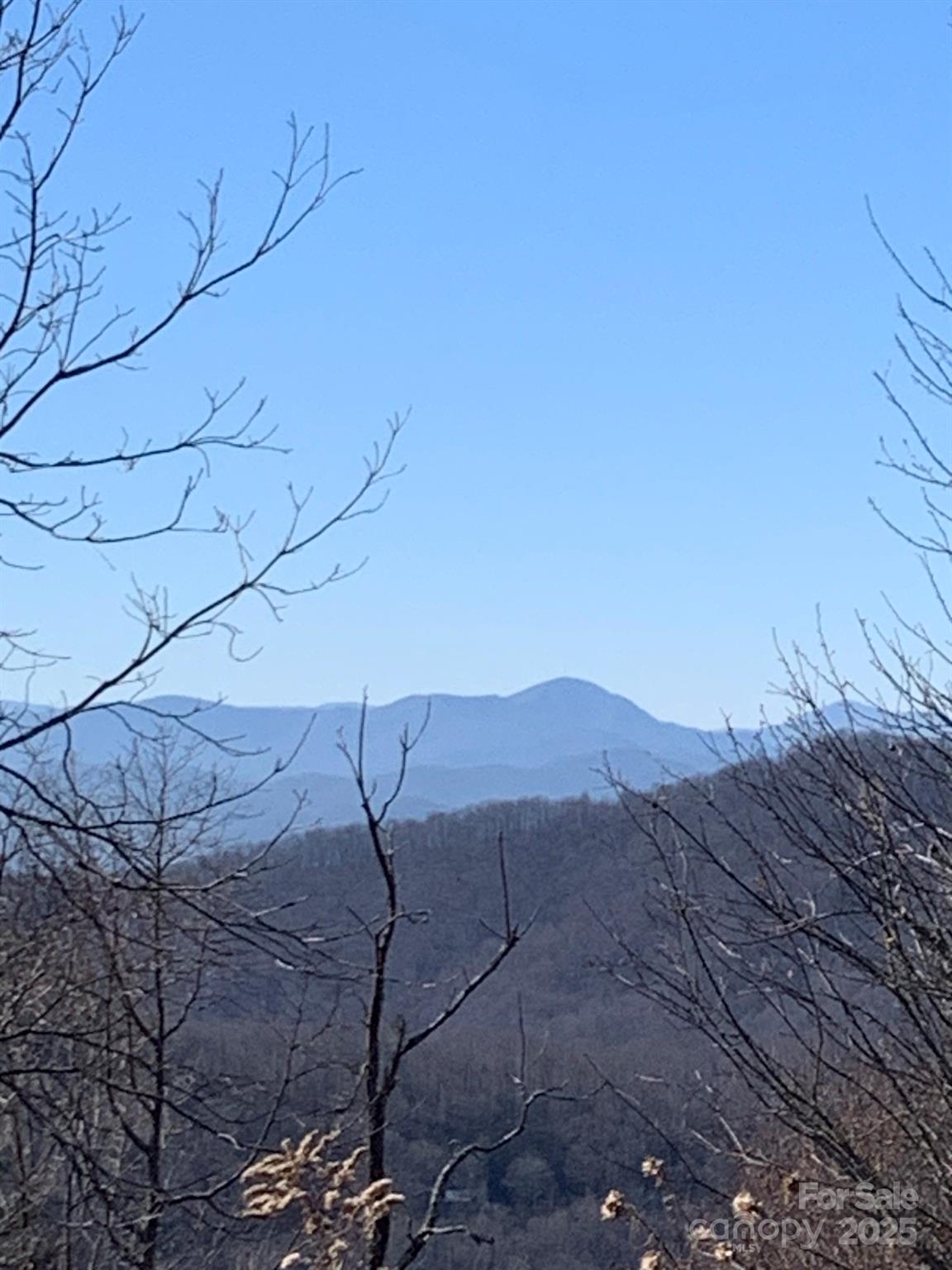 9999 Ebby Ridge Drive Fairview NC 28730