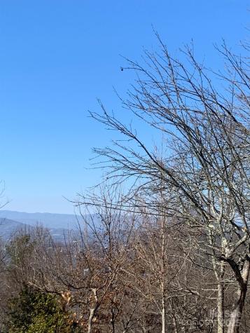 9999 Ebby Ridge Drive Fairview NC 28730