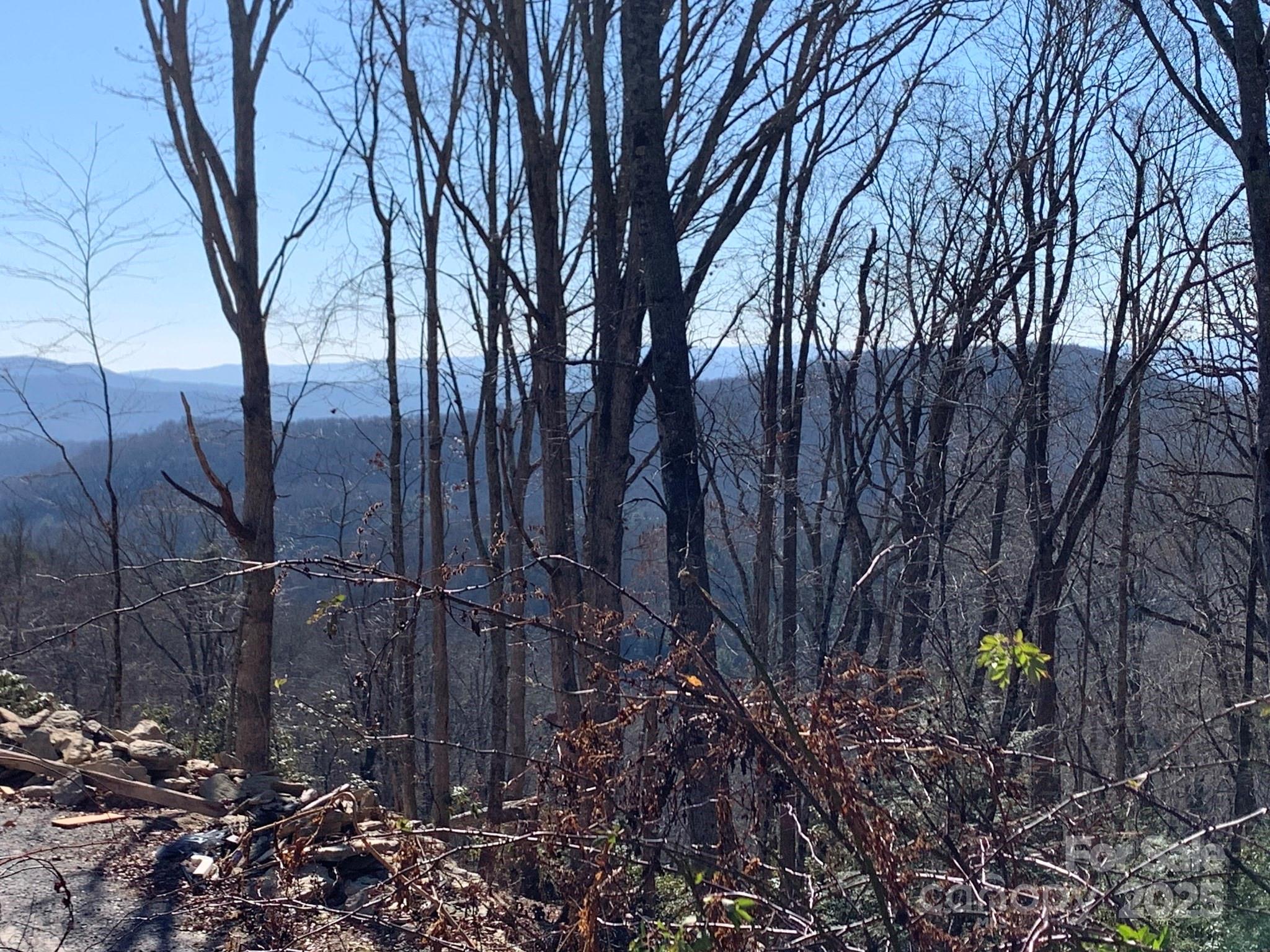 9999 Ebby Ridge Drive Fairview NC 28730
