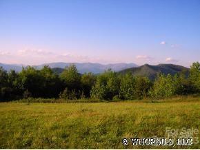 9999 Ebby Ridge Drive Fairview NC 28730