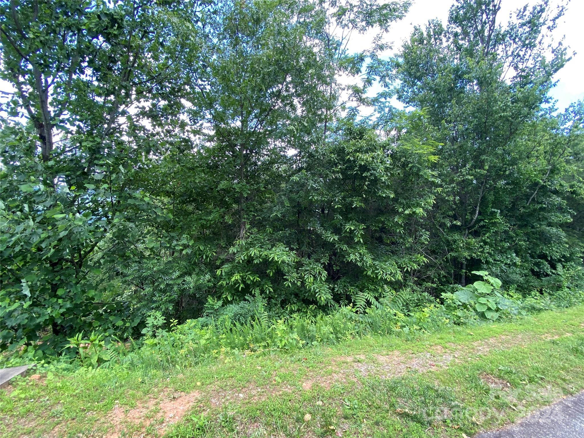 0 Golden Ridge Drive Lake Lure NC 28746