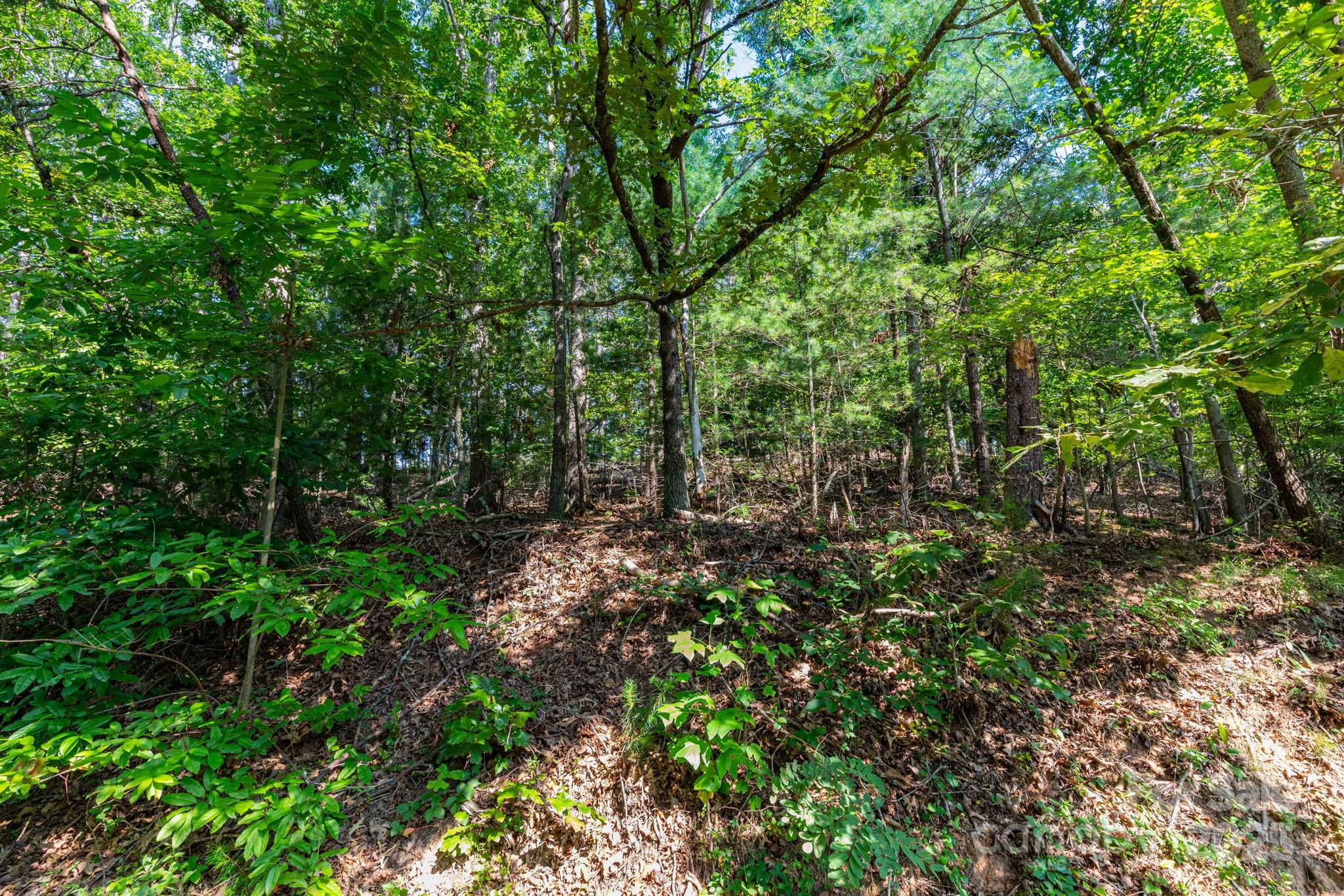99999 Flynn Branch Road Asheville NC 28804