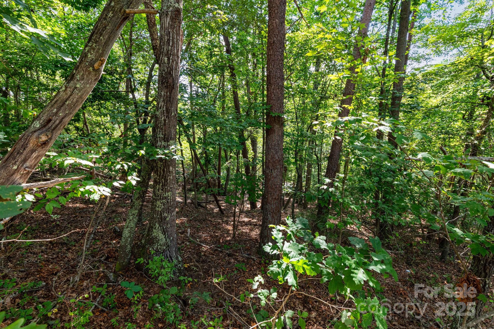 99999 Flynn Branch Road Asheville NC 28804