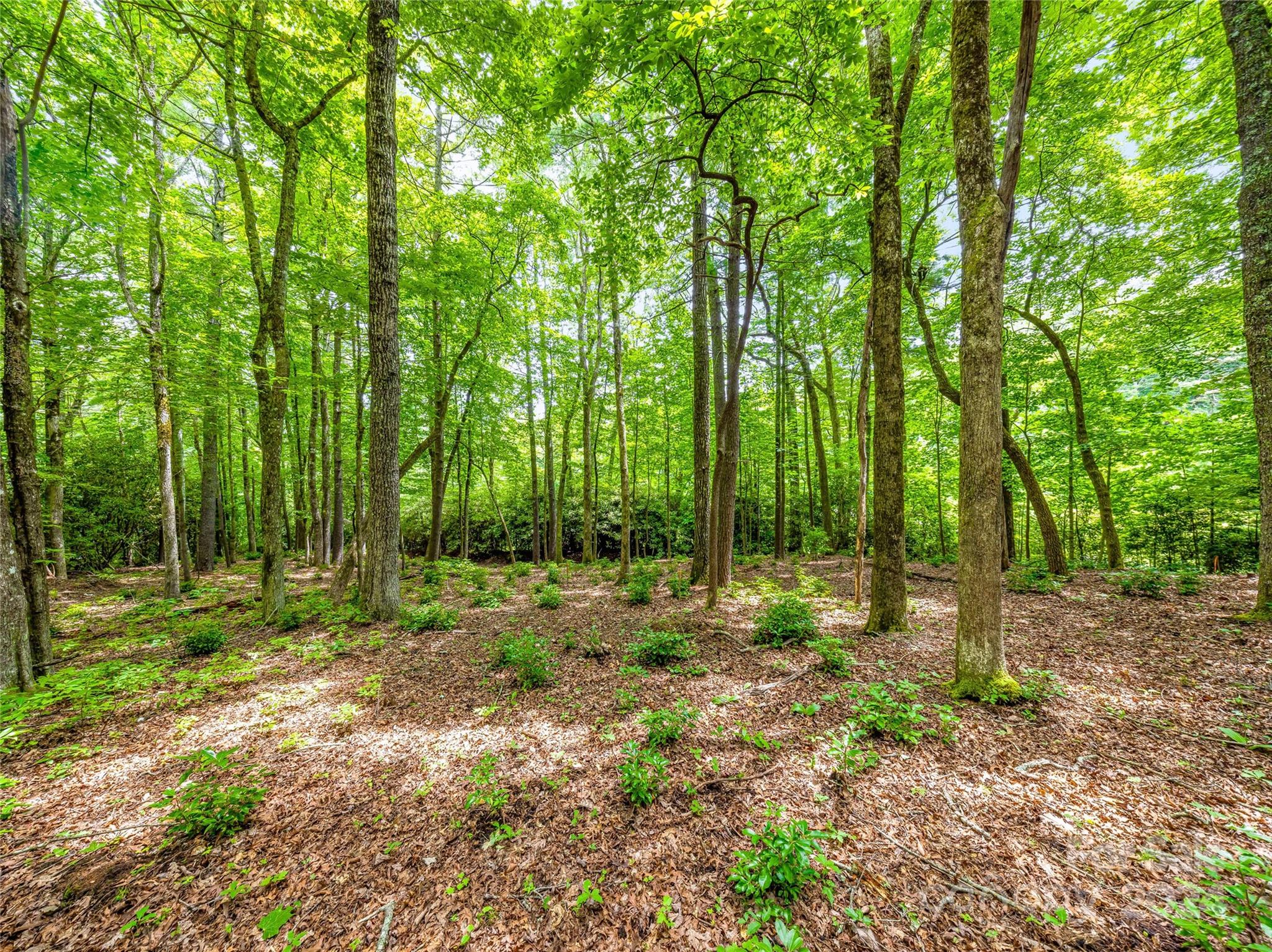 K 28 Chestnut Trace Lake Toxaway NC 28747