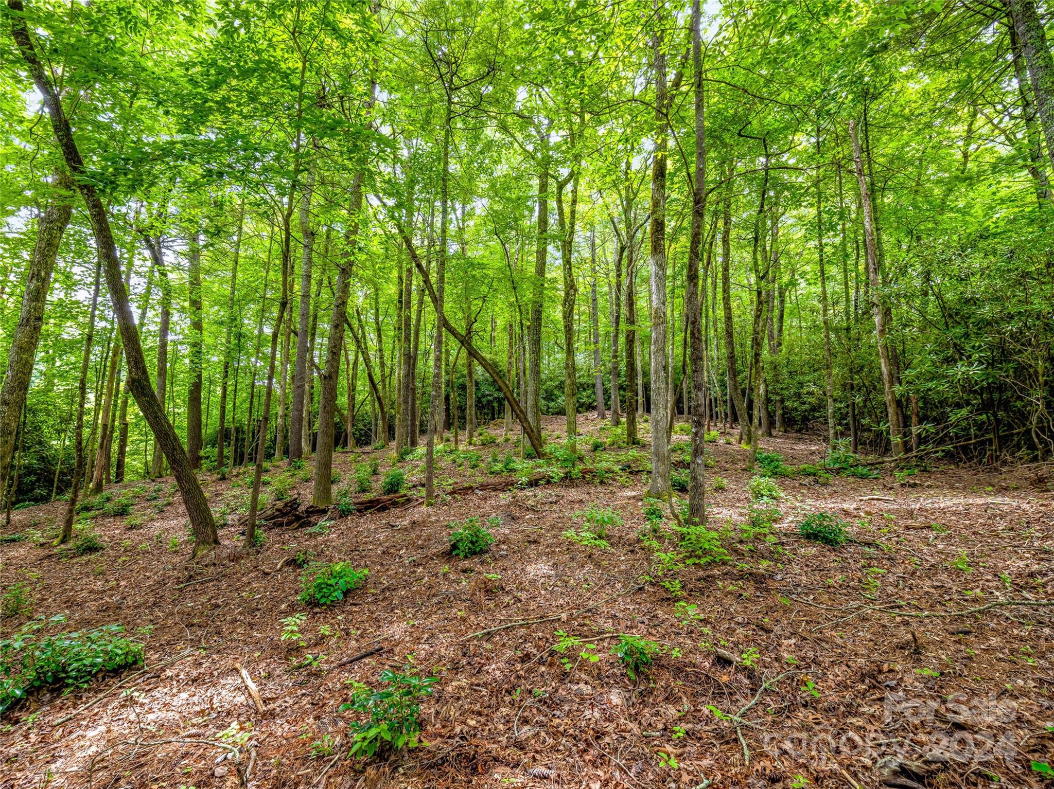 K 28 Chestnut Trace Lake Toxaway NC 28747