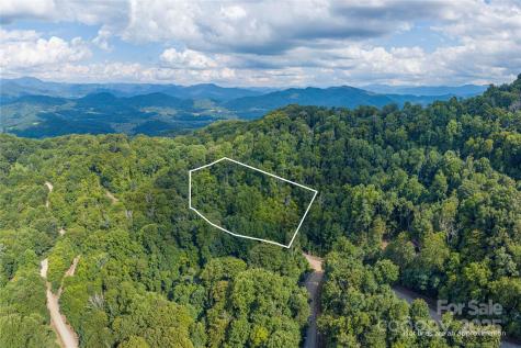 00 Pitch Fork Cove Waynesville NC 28785