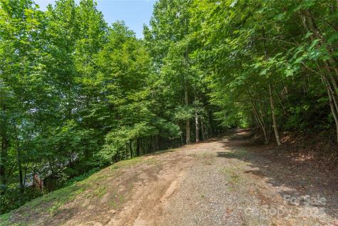 00 Pitch Fork Cove Waynesville NC 28785