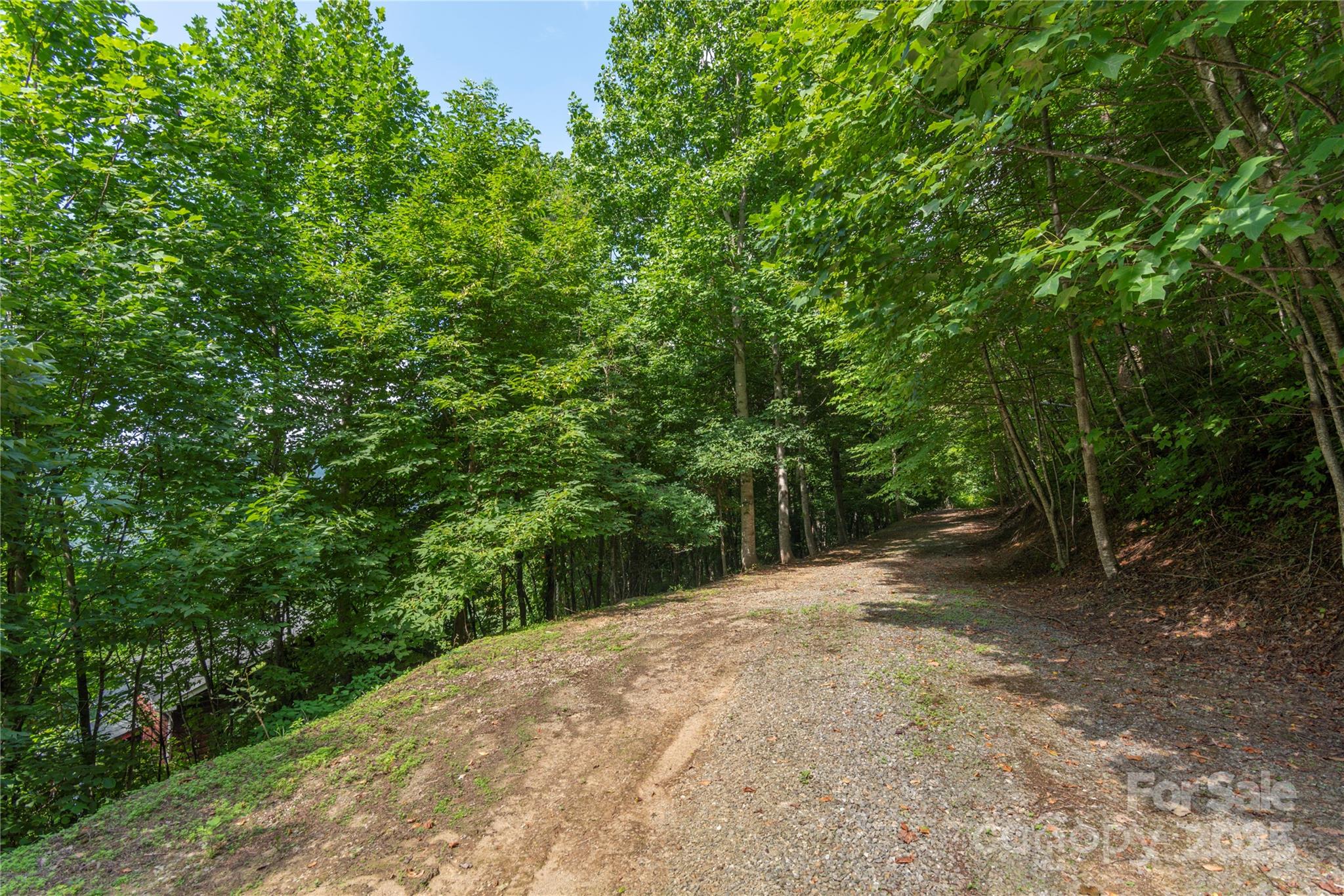 00 Pitch Fork Cove Waynesville NC 28785