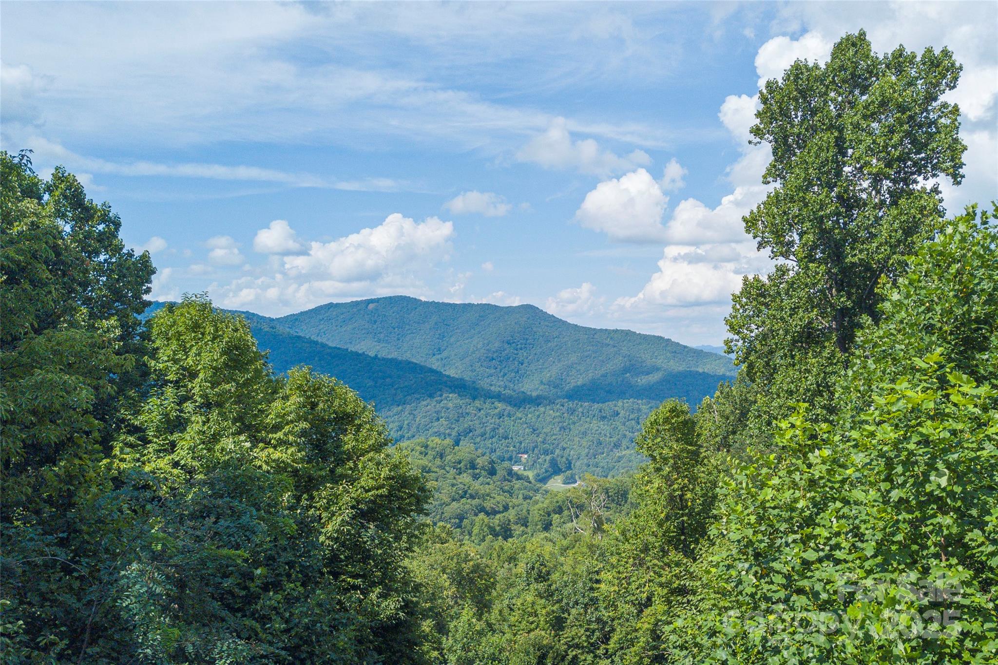 00 Pitch Fork Cove Waynesville NC 28785