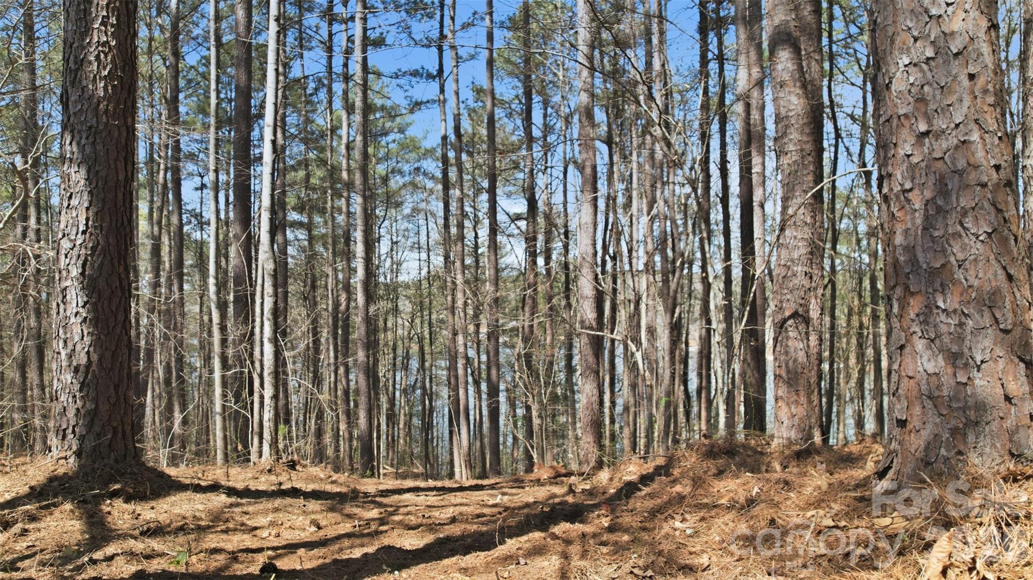 211 Ridge Top Drive Connelly Springs NC 28612