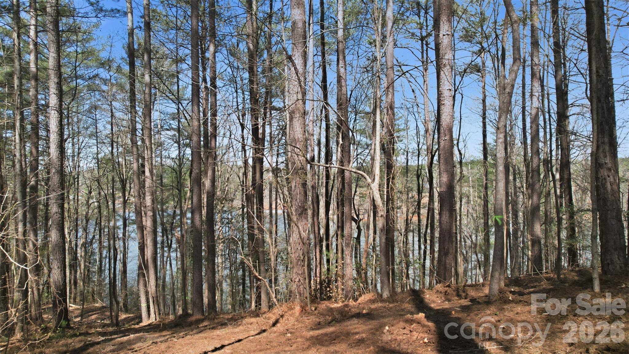 211 Ridge Top Drive Connelly Springs NC 28612