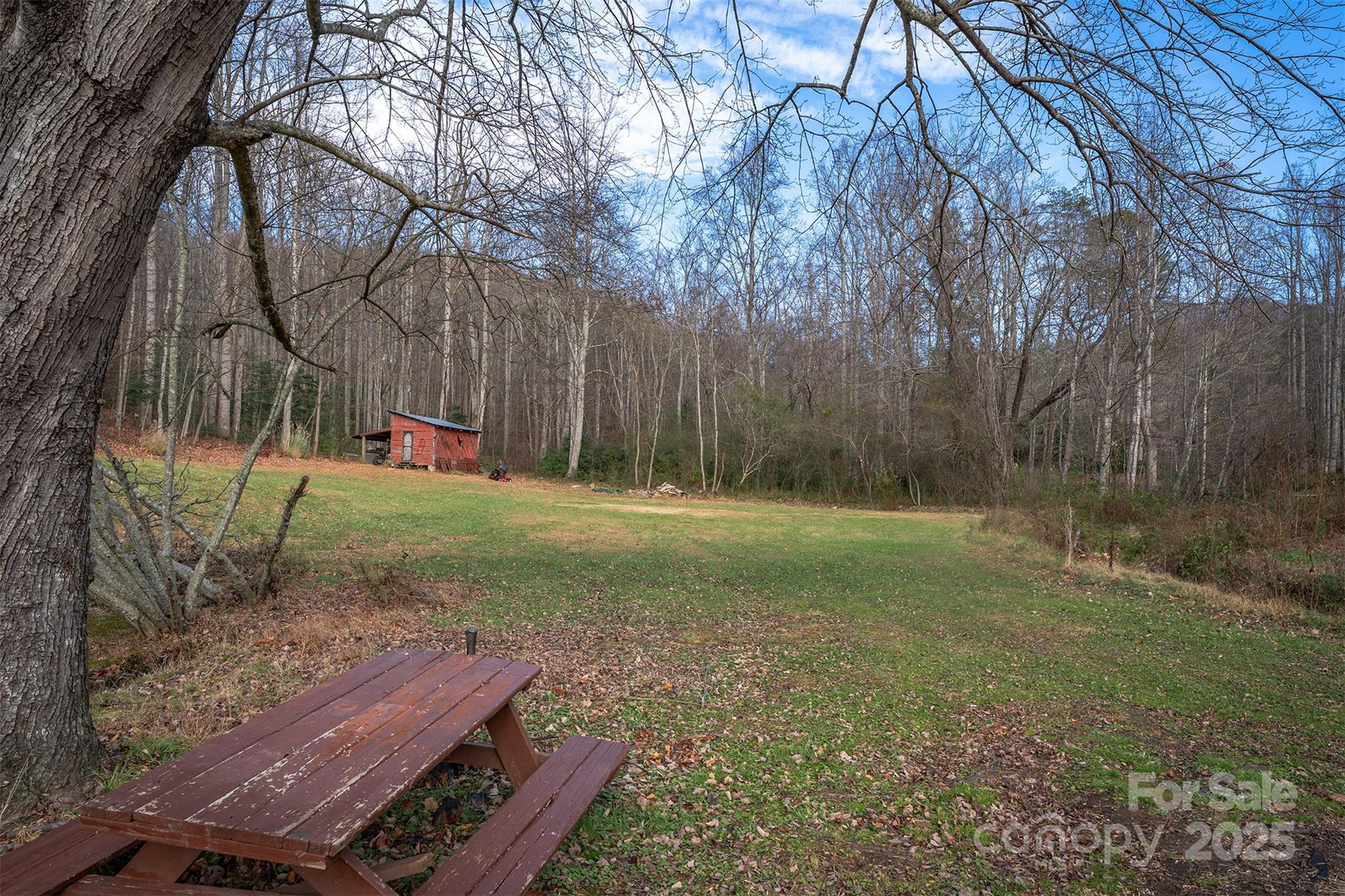 99999 Walker Cove Road Black Mountain NC 28711