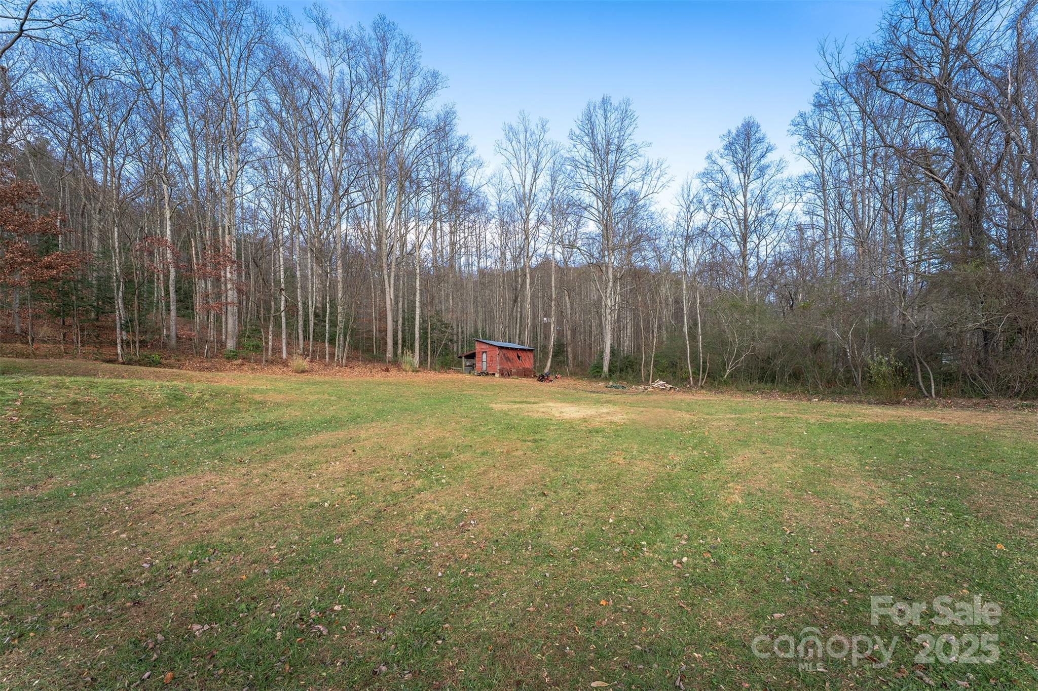 99999 Walker Cove Road Black Mountain NC 28711