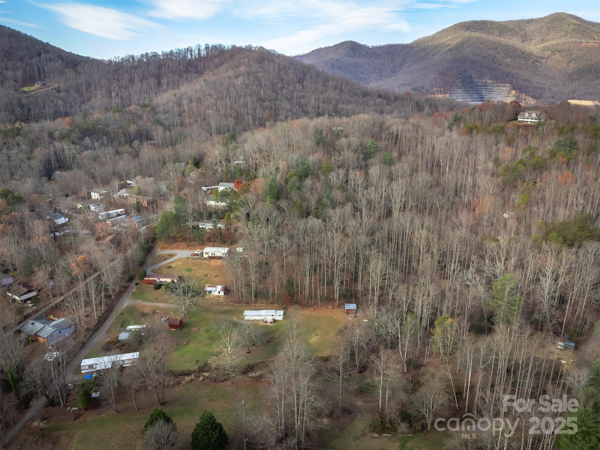 99999 Walker Cove Road Black Mountain NC 28711