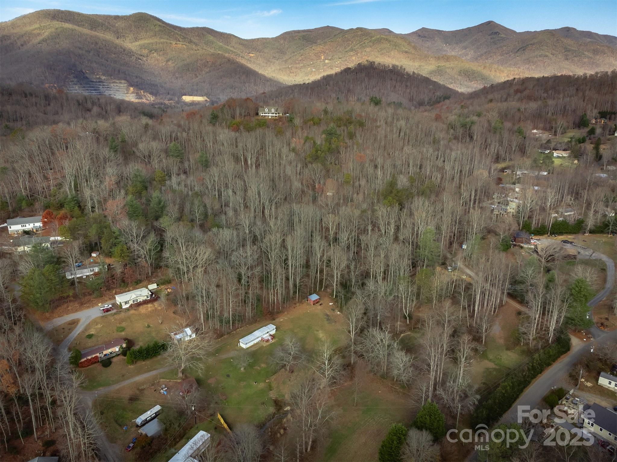 99999 Walker Cove Road Black Mountain NC 28711
