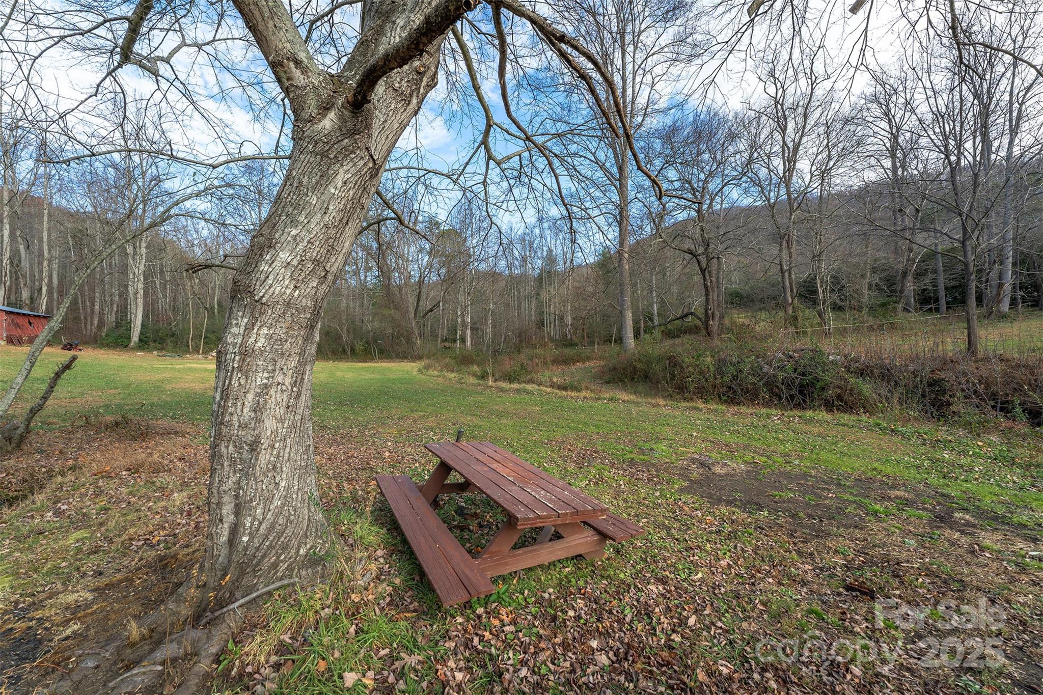 99999 Walker Cove Road Black Mountain NC 28711