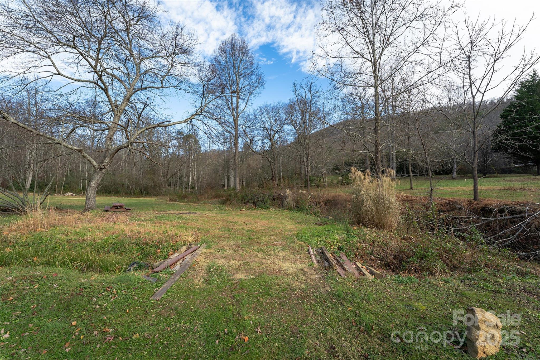 99999 Walker Cove Road Black Mountain NC 28711