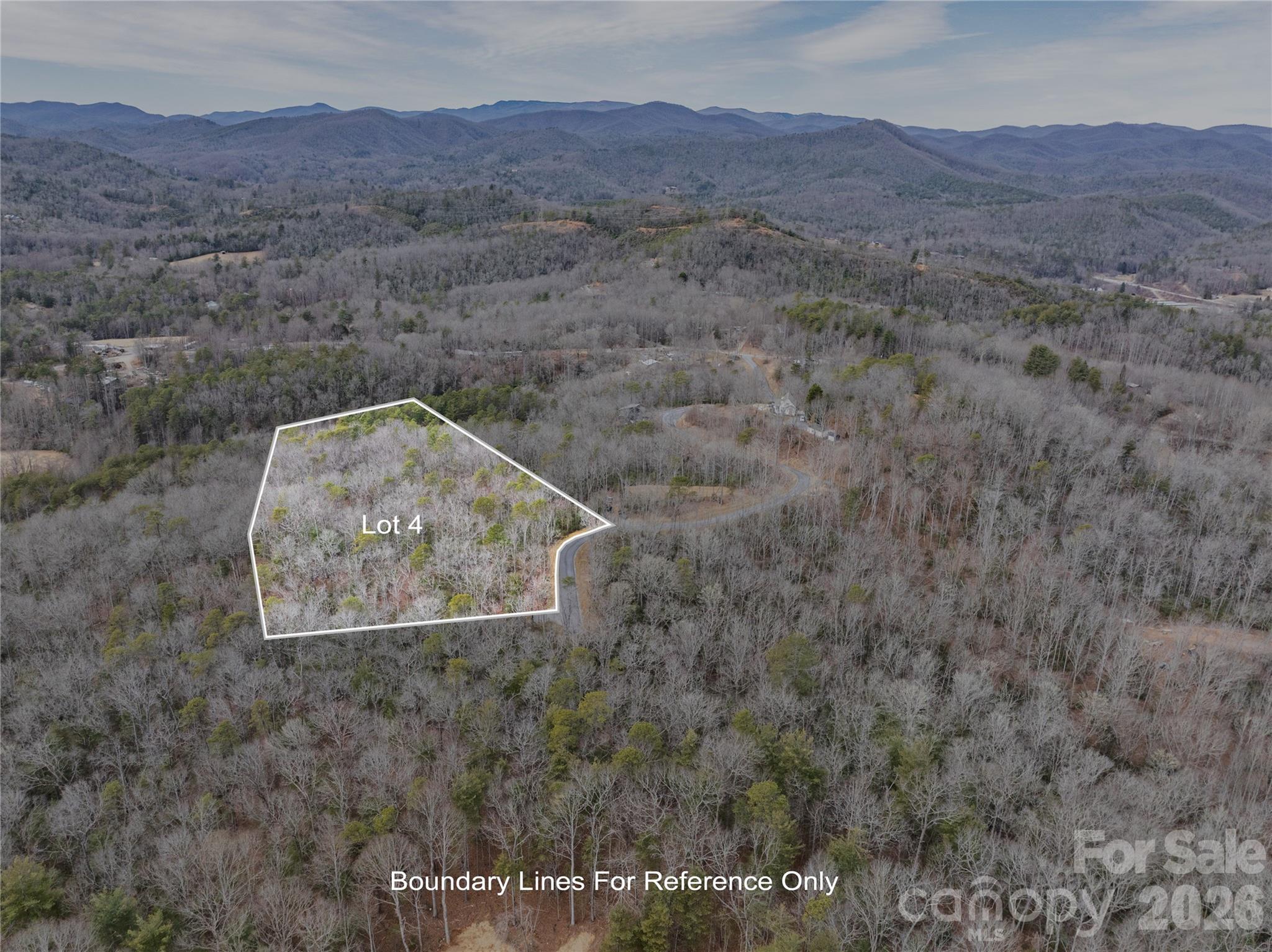 Tract 4 Turtle Ridge Trail Mills River NC 28759