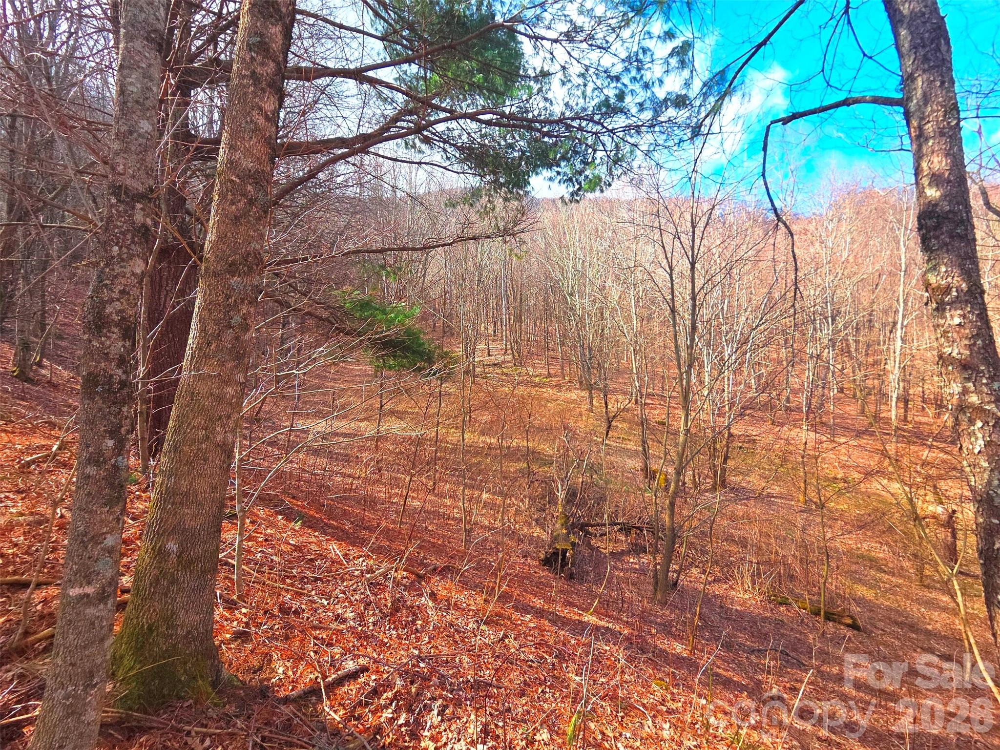 250 Rome Beauty Road Waynesville NC 28785