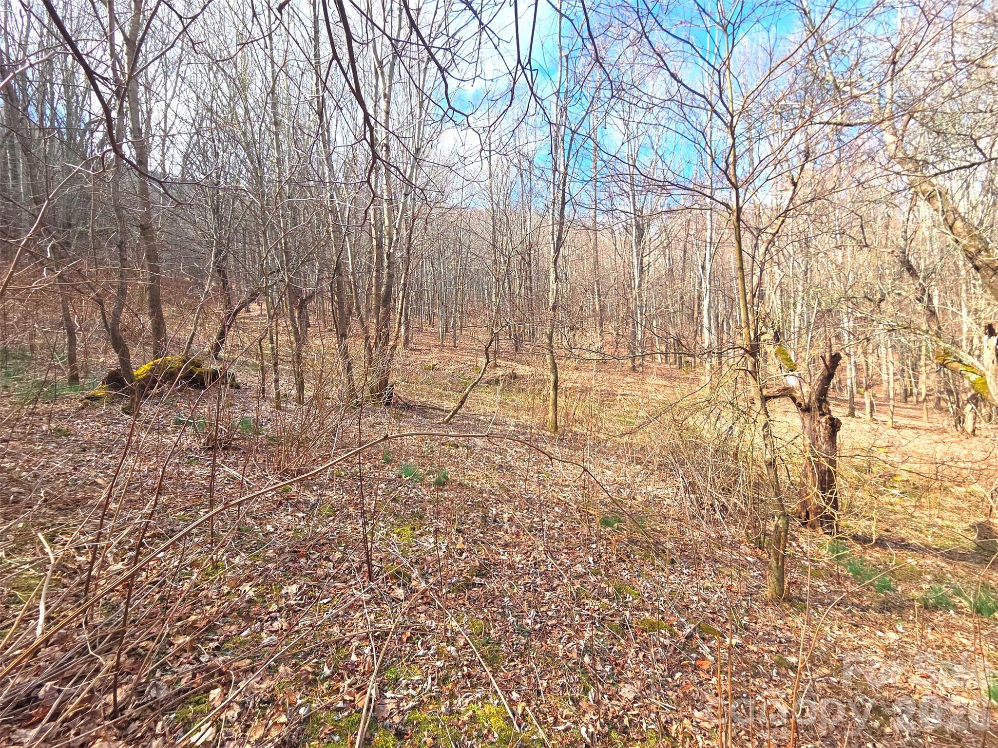250 Rome Beauty Road Waynesville NC 28785