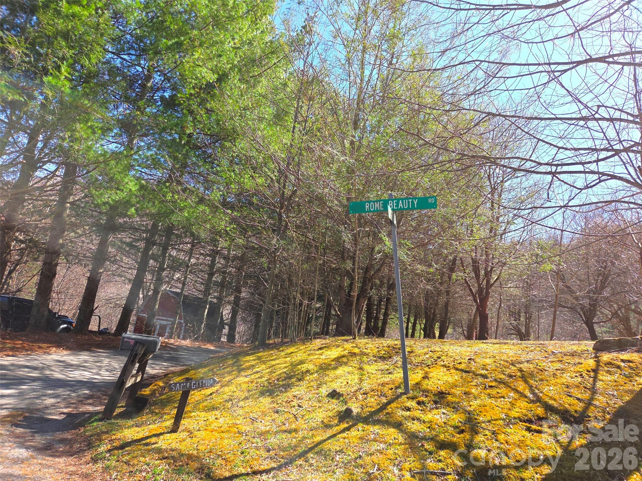 250 Rome Beauty Road Waynesville NC 28785