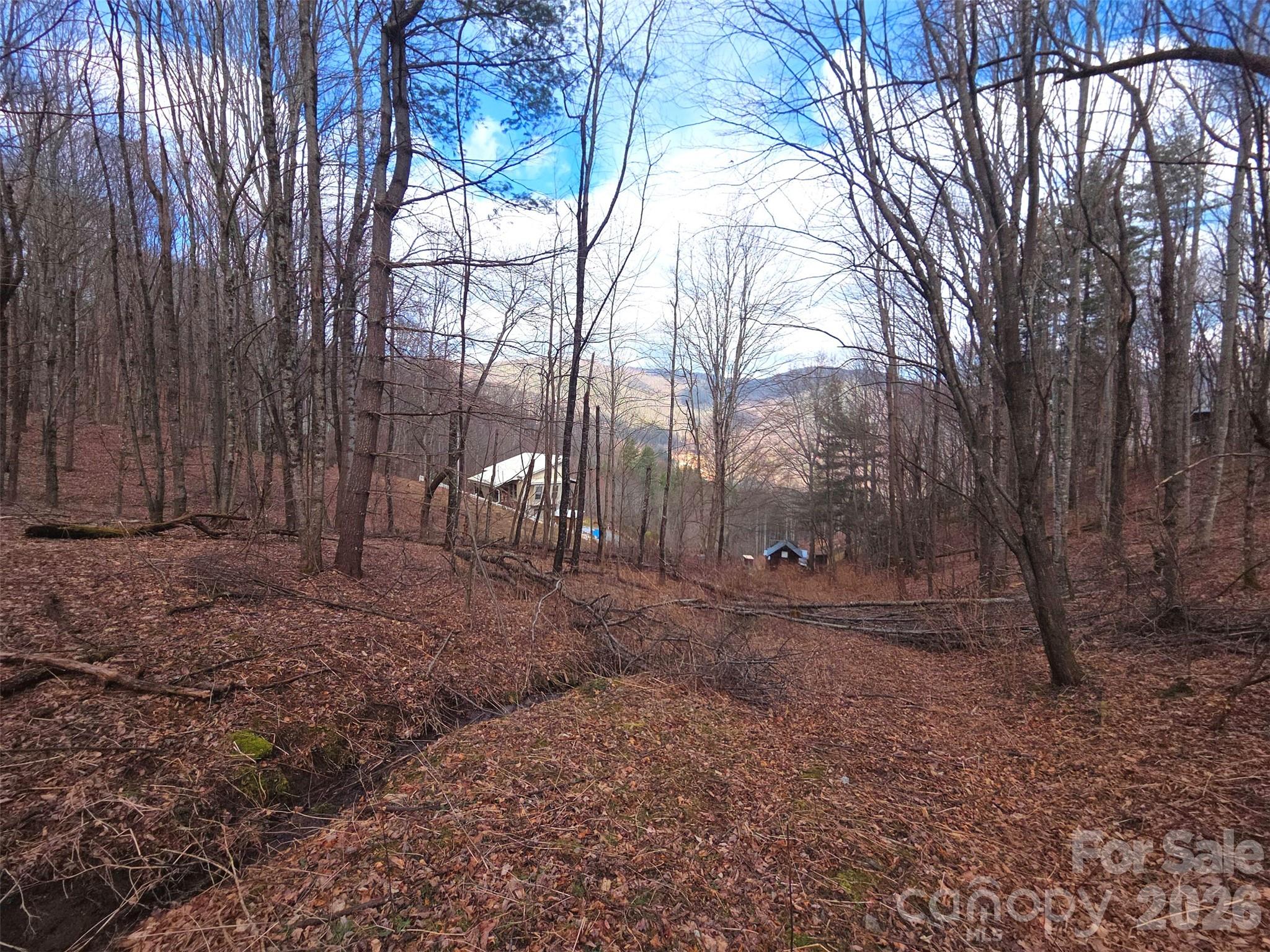 250 Rome Beauty Road Waynesville NC 28785