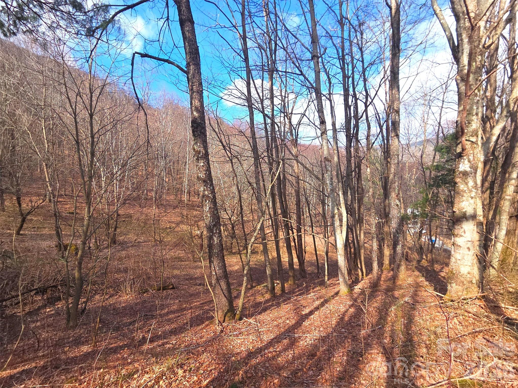 250 Rome Beauty Road Waynesville NC 28785