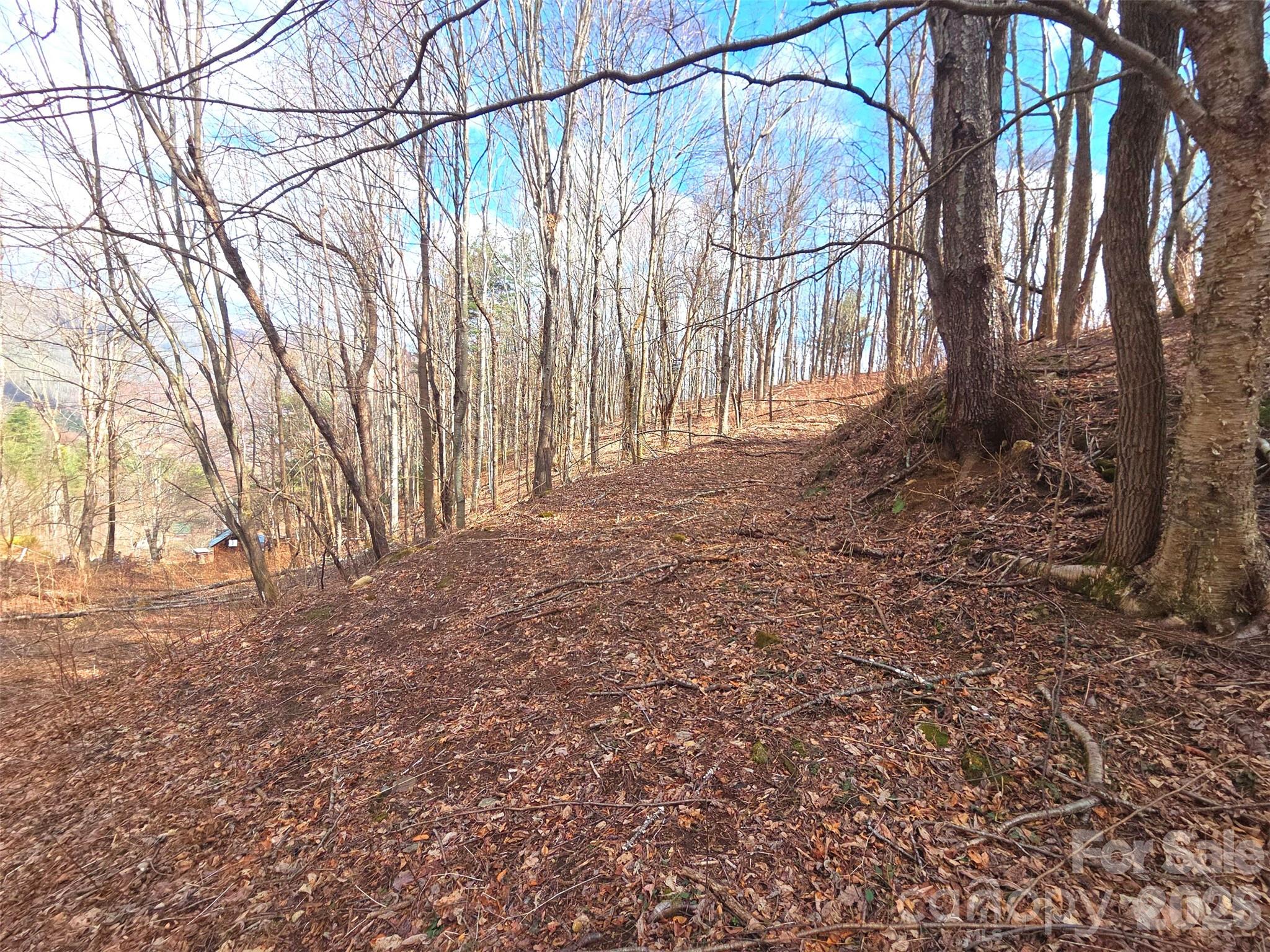 250 Rome Beauty Road Waynesville NC 28785