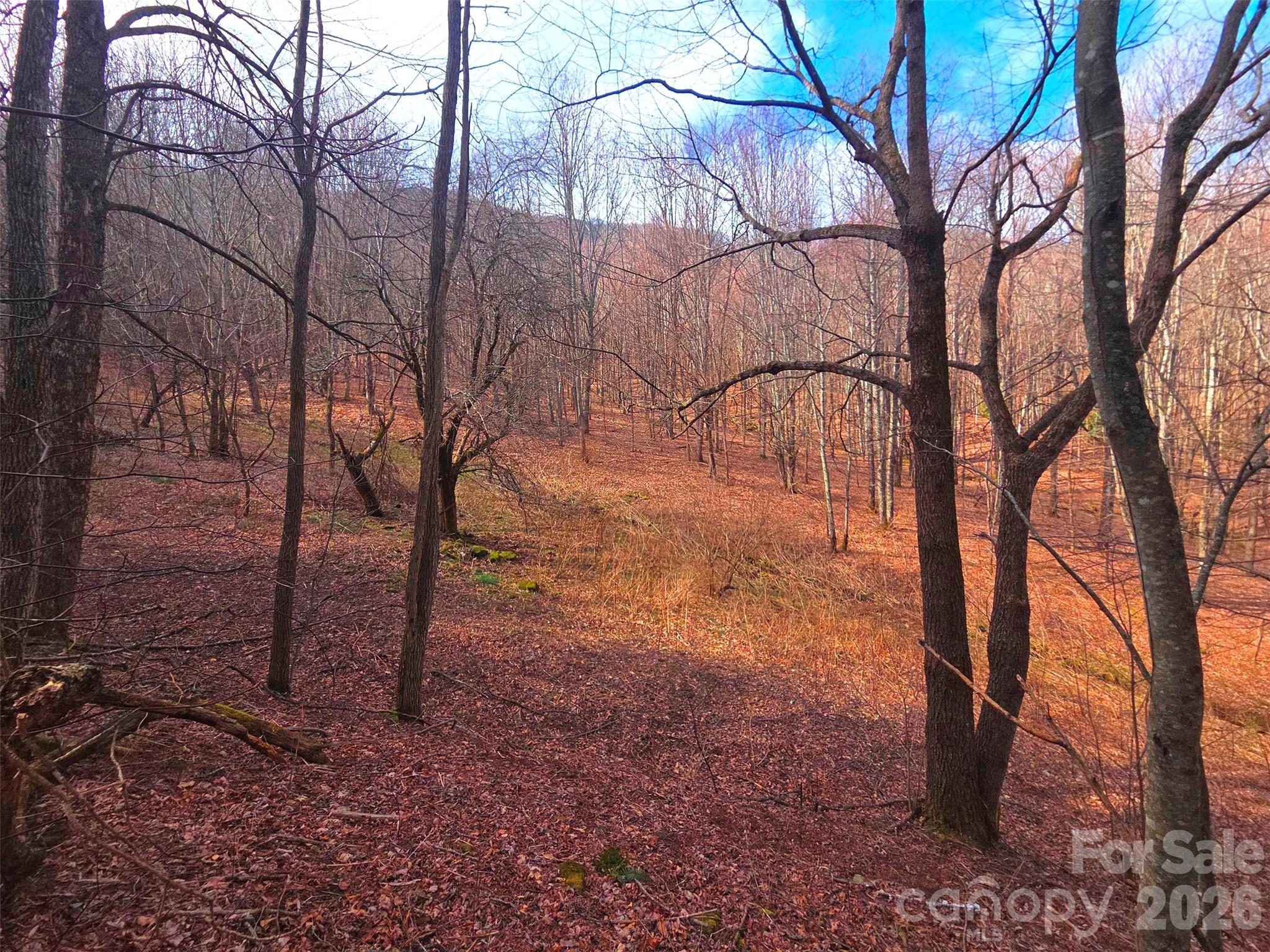 250 Rome Beauty Road Waynesville NC 28785