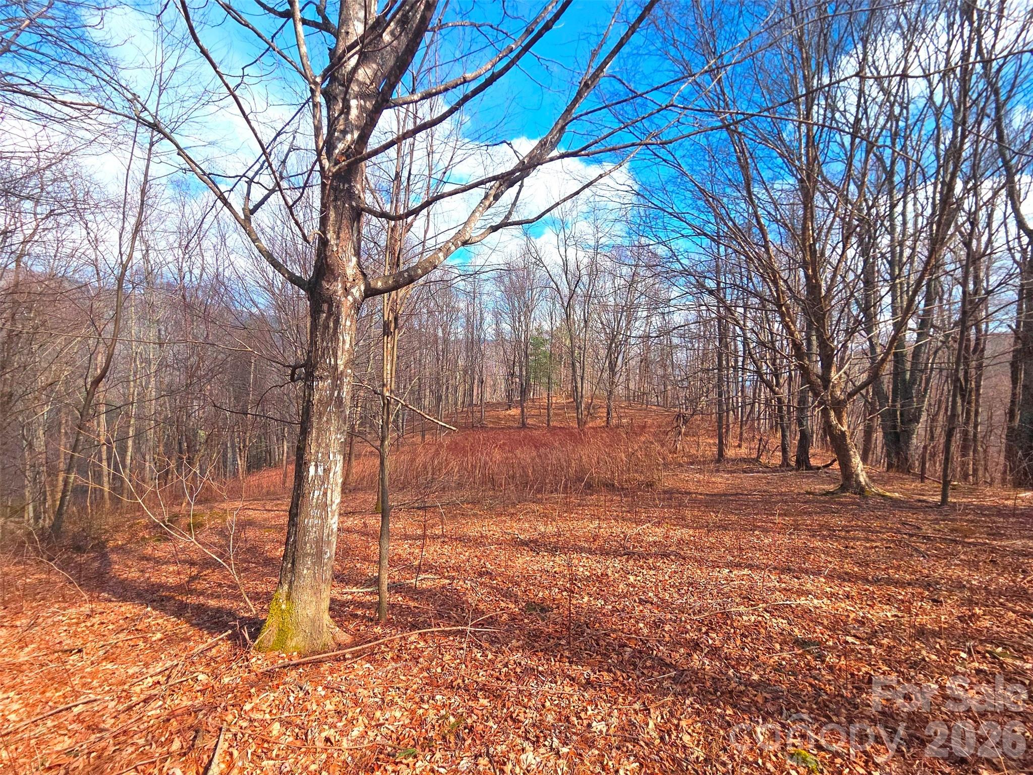 250 Rome Beauty Road Waynesville NC 28785